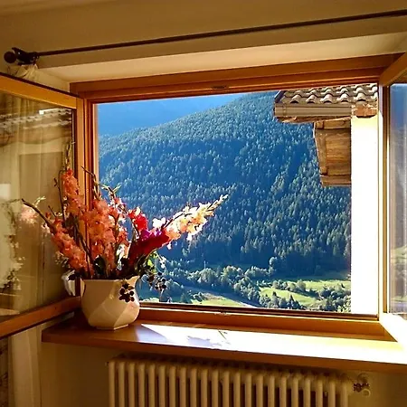 Bed & Breakfast Dalegno Temu