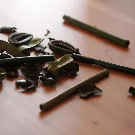 Bed & Breakfast Dalegno 3*