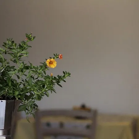 Bed & Breakfast Dalegno Temù