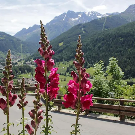 Dalegno Bed & Breakfast