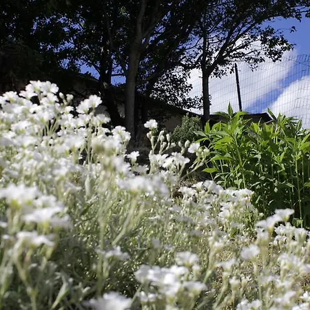 Bed & Breakfast Dalegno 3*